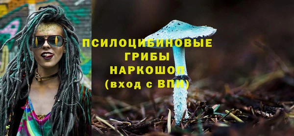 дживик Алзамай