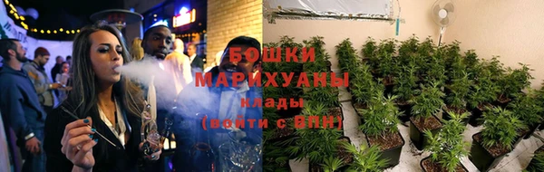 гидропоника Саяногорск