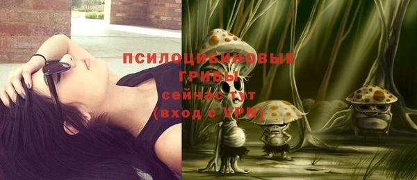 шишки Абинск