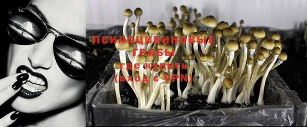 дмт Сафоново