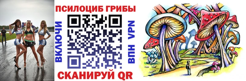 закладка  Гагарин  Псилоцибиновые грибы MAGIC MUSHROOMS 